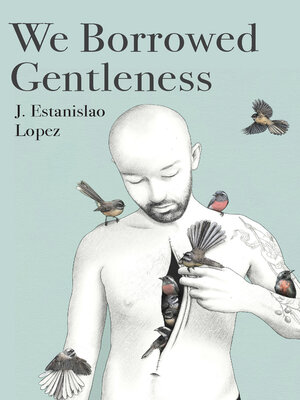 cover image of We Borrowed Gentleness